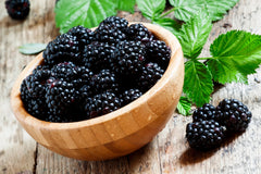 Mulberry Extract 